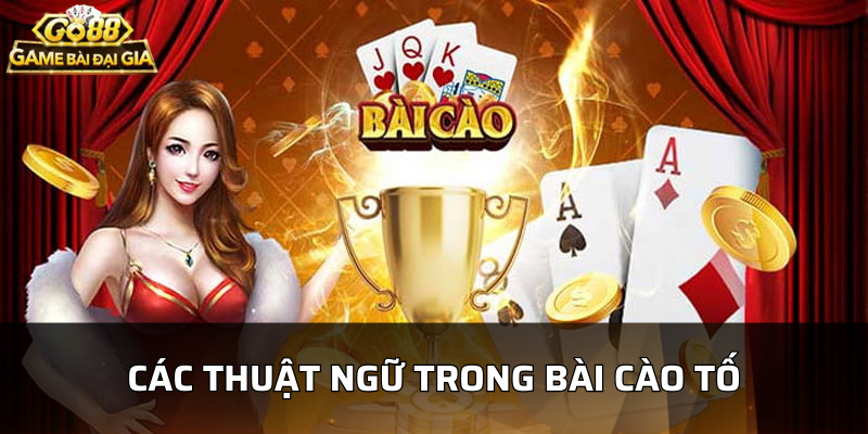 M?t s? thu?t ng? th?ng d?ng nh?t trong bài cào t?